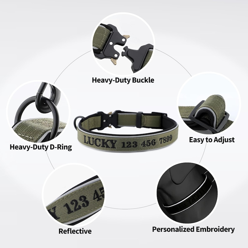 K&ouml;nnte beinhalten: Olivgr&uuml;nes Hundehalsband mit robuster Schnalle und D-Ring. Der Kragen hat reflektierende Zierleisten, personalisierte Stickereien und den Text "LUCKY 123 456 7899". Es ist leicht einzustellen.