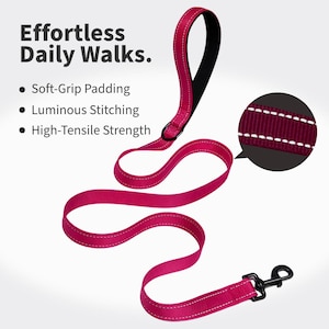 Op de afbeelding: Een magentakleurige hondenriem met een zwart gevoerd handvat, reflecterende stiksels en een zwarte metalen musketonhaak. De tekst luidt: Effortless Daily Walks. Soft-Grip Padding, Luminous Stitching, High-Tensile Strength.
