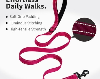 Duty Nylon Dog Leash for Dogs, Durable Walking Training Lead, Strong Pet Leash for Hiking, Running, Everyday Use, Dog Lover Gift