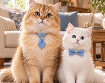 Könnte beinhalten: Eine goldene Langhaarkatze mit einer hellblauen Jeans-Krawatte und eine flauschige weiße Katze mit einer passenden hellblauen Jeans-Fliege. Beide Katzen sitzen aufrecht und zeigen ihre jeweiligen Jeans-Accessoires am Hals.