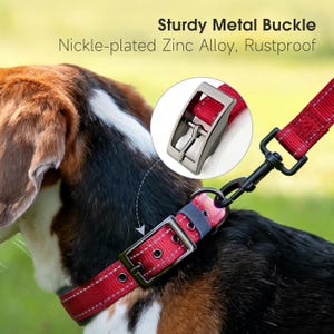 May include: Red dog collar with a sturdy metal buckle and a matching leash. The collar is made of a durable material and features a nickel-plated zinc alloy buckle. The text in the image reads "Sturdy Metal Buckle, Nickle-plated Zinc Alloy, Rustproof."