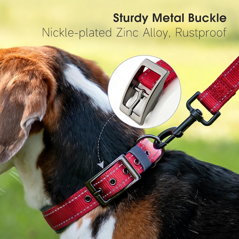 May include: Red dog collar with a sturdy metal buckle and a matching leash. The collar is made of a durable material and features a nickel-plated zinc alloy buckle. The text in the image reads "Sturdy Metal Buckle, Nickle-plated Zinc Alloy, Rustproof."