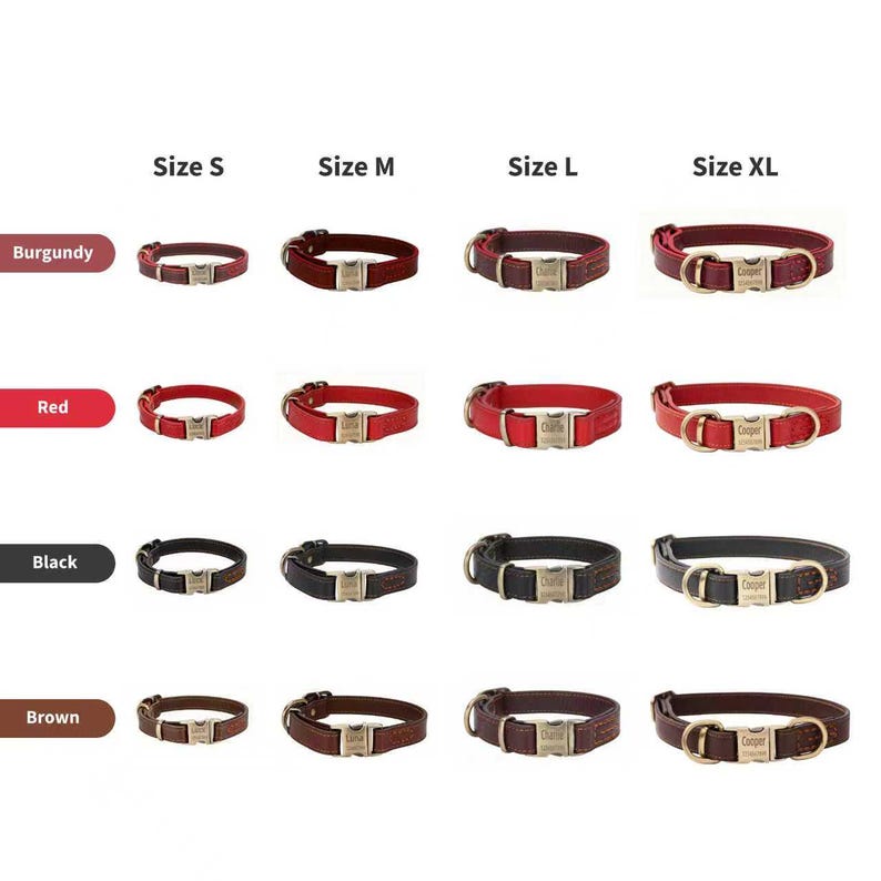 Puede incluir: Una cuadr&iacute;cula de collares para mascotas en burdeos, rojo, negro y marr&oacute;n, organizados por tallas S, M, L y XL. Cada collar cuenta con una hebilla met&aacute;lica con texto grabado. Los collares var&iacute;an en ancho y largo seg&uacute;n las tallas.