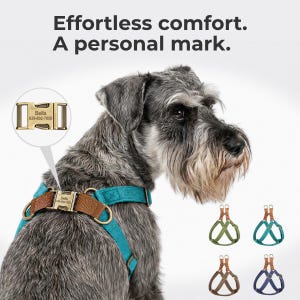 Pettorina personalizzata per cani di piccola taglia, pettorina antistrappo con incisione personalizzata, pettorina regolabile in morbido nylon per animali domestici con fibbia in ottone, regalo per cuccioli.