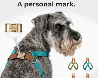 Personalized Dog Harness for Small Dogs, Custom Engraved No Pull H Harness, Adjustable Soft Nylon Pet Harness with Brass Buckle, Puppy Gift.