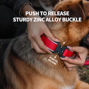K&ouml;nnte beinhalten: Rotes Hundehalsband mit einer robusten Schnalle aus Zinklegierung. Das Halsband hat wei&szlig;e Zierleisten und schwarze Beschl&auml;ge. Der Text "PUSH TO RELEASE" ist auf dem Halsband aufgedruckt. Das Halsband wird um den Hals eines Hundes befestigt.