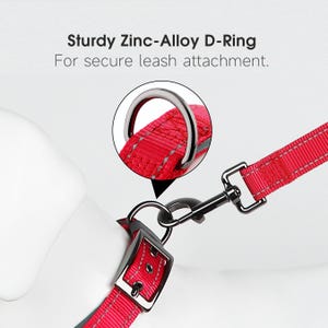 May include: Close-up of a red dog collar with a sturdy zinc-alloy D-ring for leash attachment. The collar has a reflective strip for visibility and a metal buckle. The text "Sturdy Zinc-Alloy D-Ring For secure leash attachment" is visible.