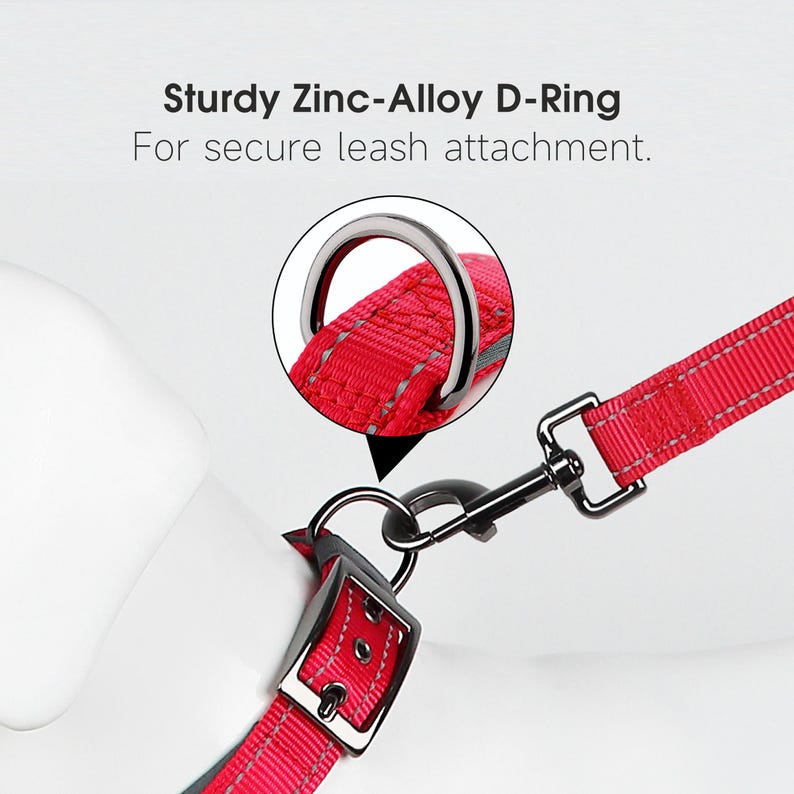 May include: Close-up of a red dog collar with a sturdy zinc-alloy D-ring for leash attachment. The collar has a reflective strip for visibility and a metal buckle. The text "Sturdy Zinc-Alloy D-Ring For secure leash attachment" is visible.