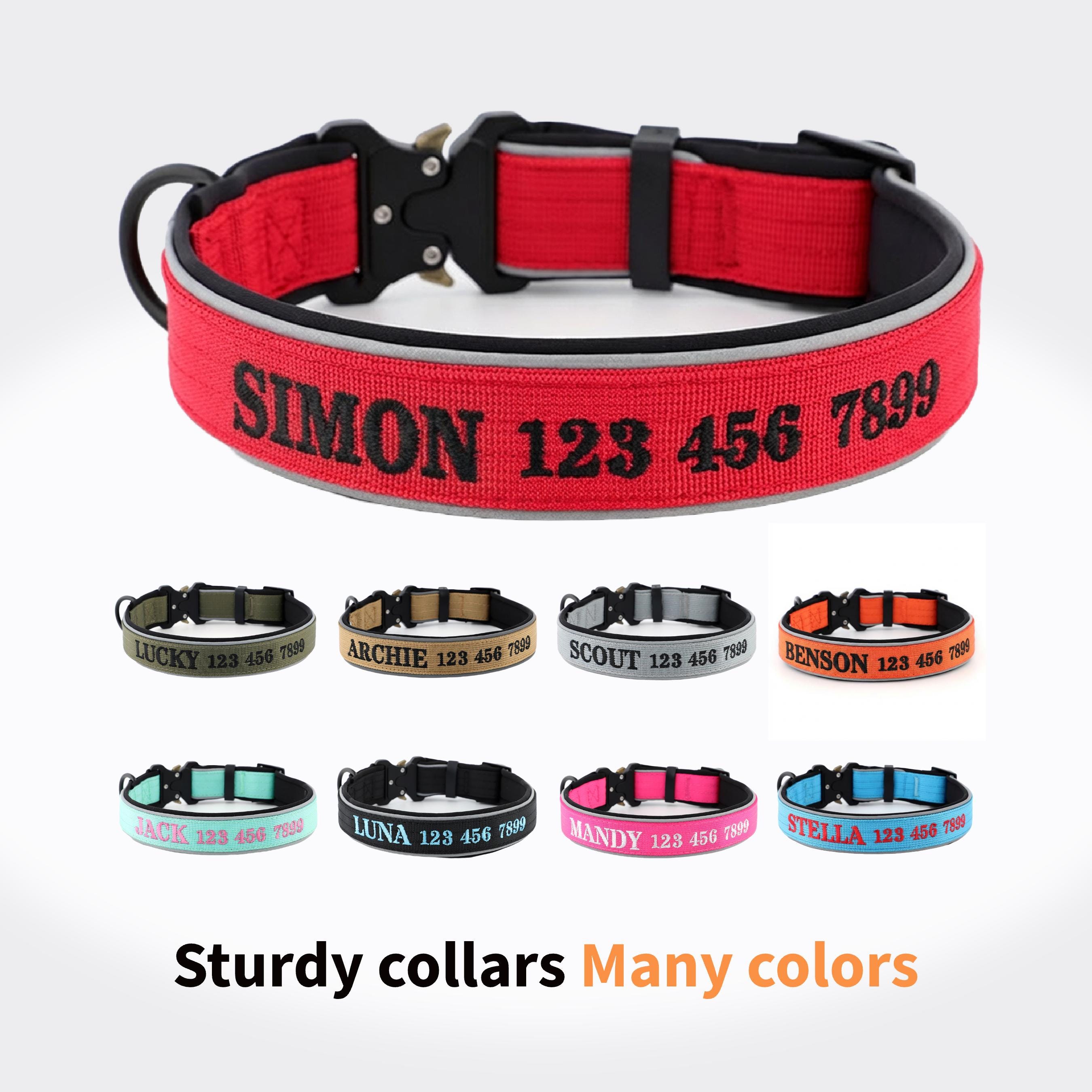 Hundehalsband mit telefonnummer - Etsy.de