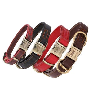 Puede incluir: Cuatro collares personalizados para perros en tonos marr&oacute;n, negro y rojo. Cada collar tiene una hebilla met&aacute;lica con un nombre y n&uacute;mero de tel&eacute;fono grabados. Los collares son de cuero y tienen un dise&ntilde;o cl&aacute;sico.