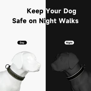 K&ouml;nnte beinhalten: Das Bild zeigt einen wei&szlig;en Hund mit einem gr&uuml;nen Halsband mit dem Text "LUCKY 123-4567" und einen schwarzen Hund mit einem reflektierenden Halsband. Der Text oben lautet "Keep Your Dog Safe on Night Walks".