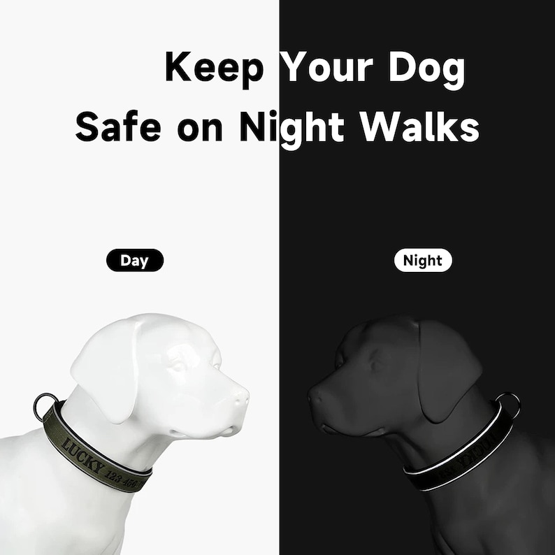 K&ouml;nnte beinhalten: Das Bild zeigt einen wei&szlig;en Hund mit einem gr&uuml;nen Halsband mit dem Text "LUCKY 123-4567" und einen schwarzen Hund mit einem reflektierenden Halsband. Der Text oben lautet "Keep Your Dog Safe on Night Walks".