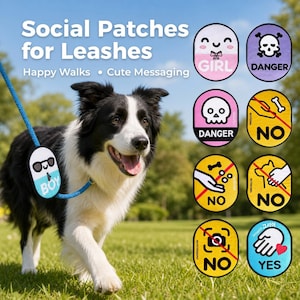 May include: A collection of oval-shaped social patches for dog leashes featuring various icons and text including Girl, Danger, No, and Yes. One patch is attached to a blue leash on a black and white dog. The patches display warnings and information.