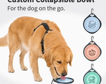 Personalized Collapsible Dog Bowl, Custom Portable Travel Pet Bowl, BPA Free Silicone Food & Water Bowl for Dogs Cats, Pet Gift