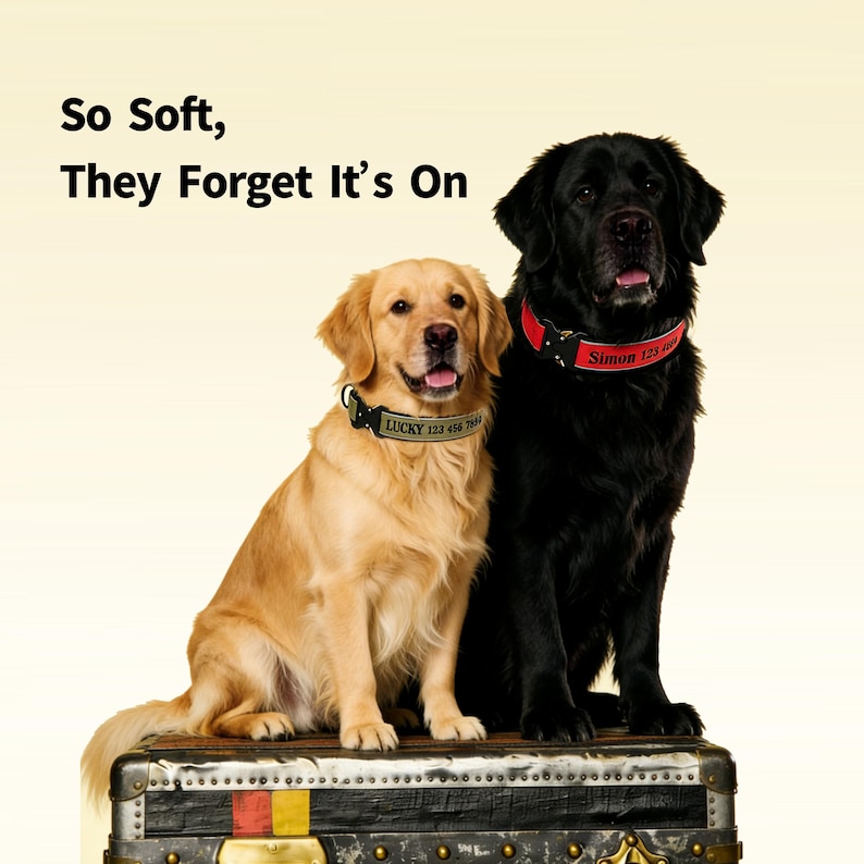 K&ouml;nnte beinhalten: Ein Golden Retriever und ein schwarzer Labrador tragen personalisierte Halsb&auml;nder. Das Halsband des Golden Retrievers ist beige mit dem Namen "LUCKY" und einer Telefonnummer. Das Halsband des schwarzen Labradors ist rot mit dem Namen "Simon" und einer Telefonnummer. Der Text &uuml;ber den Hunden lautet "So Soft, They Forget It's On."
