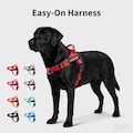 Dog Harness, Dog Collar Alternative, Custom Personalized Dog Harness with Name and Phone Number, Gift for Dog Lover, Dog Harness & Leash Set product logo