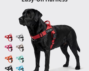 Hondentuig, alternatief halsband, op maat gemaakt gepersonaliseerd hondentuig met naam en telefoonnummer, cadeau voor hondenliefhebber, hondentuig en riem