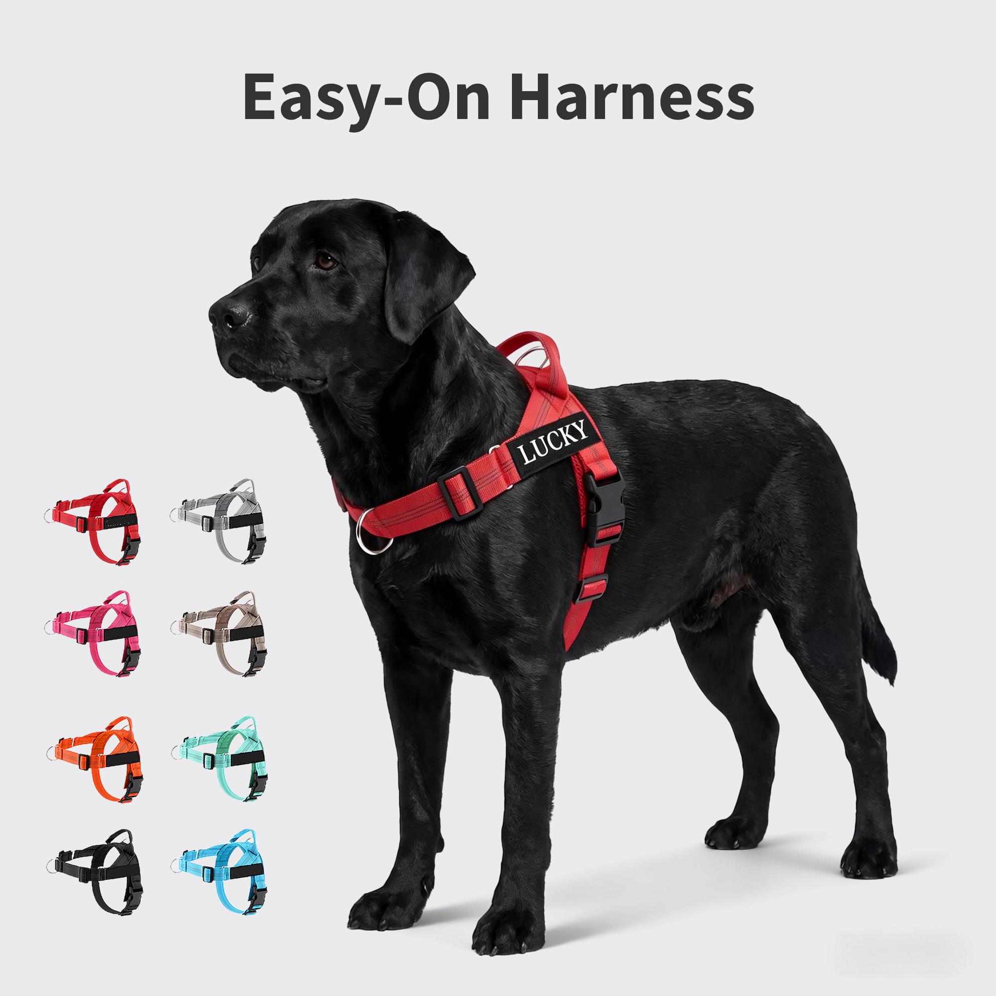 hunter zugstopp halsband HUNTER - Hundehalsband mit Zugstopp main image 0