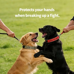 K&ouml;nnte beinhalten: Zwei Hunde, ein Golden Retriever und ein schwarzer Labrador, scheinen sich zu streiten. Der Golden Retriever tr&auml;gt ein Halsband mit dem Text "LUCKY 123 4567", w&auml;hrend das Halsband des schwarzen Hundes "Simon 123 456" tr&auml;gt. Der Text "Protects your hands when breaking up a fight."