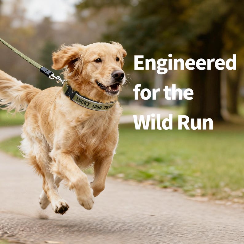 K&ouml;nnte beinhalten: Ein Golden Retriever-Hund, der auf einem Pfad rennt und einen gr&uuml;nen Kragen mit dem Text "LUCKY 1236 769" tr&auml;gt. Der Hund ist an einer gr&uuml;nen Leine befestigt. Das Bild enth&auml;lt den Text "Engineered for the Wild Run".