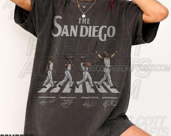 San Diego Baseball Vintage Sweatshirt, Washed Graphic Tee, Comfort Colors Oversized Shirt