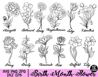 Birth Month Flower SVG, Birth Month Wild Flowers Svg Files, Botanical Floral SVG Bundle, Birthday Flower Clipart, SVG Files for Cricut.