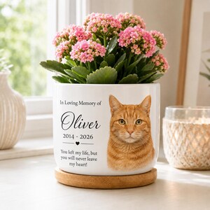 May include: A white ceramic planter on a round wooden base containing a pink flowering plant. The planter features a portrait of an orange tabby cat and text reading: In Loving Memory of Oliver 2014 - 2026 You left my life, but you will never leave my heart!