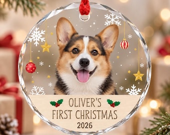 Personalised Dog's First Christmas 2026 Ornament, Dog 1st Xmas Tree Decoration, Pet Portrait Christmas Ornament, Custom Pet Photo Ornament