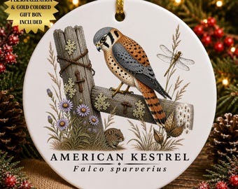 Personalized American Kestrel Ceramic Christmas Ornament | Vintage Naturalist Field Guide Art | Falcon Lover Gift