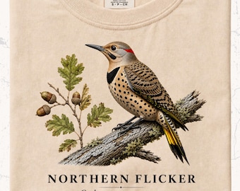 Northern Flicker Shirt, Woodpecker Tee, Field Guide Scientific Art