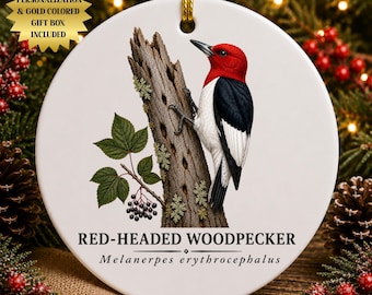 Red-Headed Woodpecker Ceramic Christmas Ornament | Vintage Naturalist Illustration | Birdwatcher Keepsake Gift