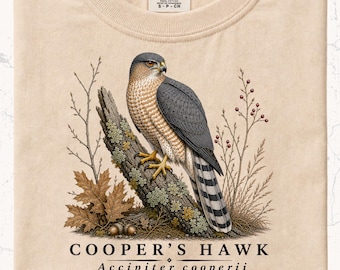Cooper's Hawk Shirt | Woodland Raptor Illustration | Backyard Birding Gift