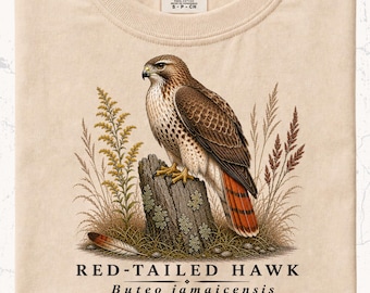 Red-Tailed Hawk Shirt | Wildlife Heritage Artwork | Falconry & Birdwatching Gift