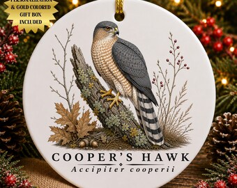 Cooper's Hawk Ceramic Christmas Ornament | Vintage Raptor Illustration | Birdwatching Wildlife Lover Keepsake Gift