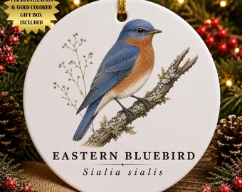 Personalized Eastern Bluebird Ceramic Christmas Ornament | Vintage Naturecore Art | Naturalist Gift