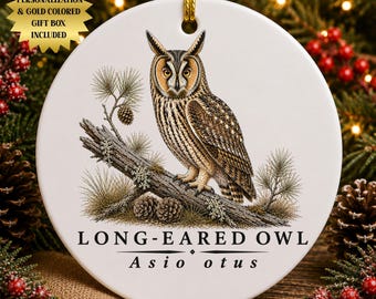 Long-Eared Owl Ceramic Christmas Ornament | Vintage Woodland Illustration | Birdwatching Nature Lover Gift