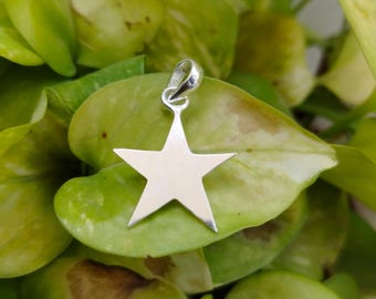 May include: A silver star pendant with a loop for a chain. The five-pointed star is smooth and shiny, reflecting the light. The pendant is set against a backdrop of green leaves.