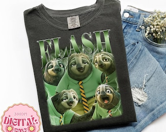 Flash Zootopia 2-bestand, Zootopia 2 png, Disneyland-bestand, Disneyworld-bestand, DisneyFamily Matching-bestand, Magic Kingdom direct downloaden