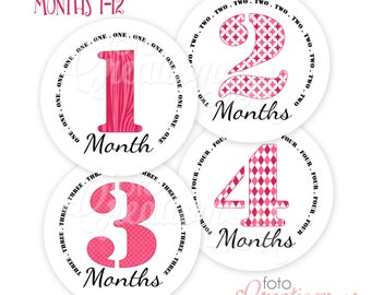 RTS Baby Girl Monthly Bodysuit Stickers, Pink Party Pants Collection - Sets of 4 months or All 1-12 Months