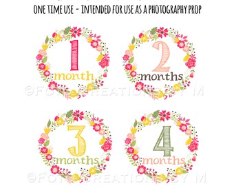 RTS Baby Girl Monthly Bodysuit Stickers, Floral Milestone Collection - Sets of 4 months or All 1-12 Months, Newborn and First 3 weeks