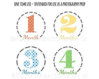 RTS Baby Monthly Bodysuit Stickers, Color Explosion Collection - Sets of 4 months or All 1-12 Months