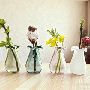 Puede incluir: Cuatro pequeños jarrones de cristal de colores, verde, azul, rosa y blanco, cada uno con un borde ondulado y que contiene un tallo de planta diferente con hojas o flores. Los jarrones están sobre una superficie de madera clara.