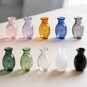 Può includere: Una collezione di dieci piccoli vasi in vetro disposti su due file. I vasi presentano un corpo arrotondato e un collo stretto, disponibili in vari colori tra cui rosa, viola, ambra, blu, grigio, verde scuro, verde chiaro, trasparente, bianco e nero.