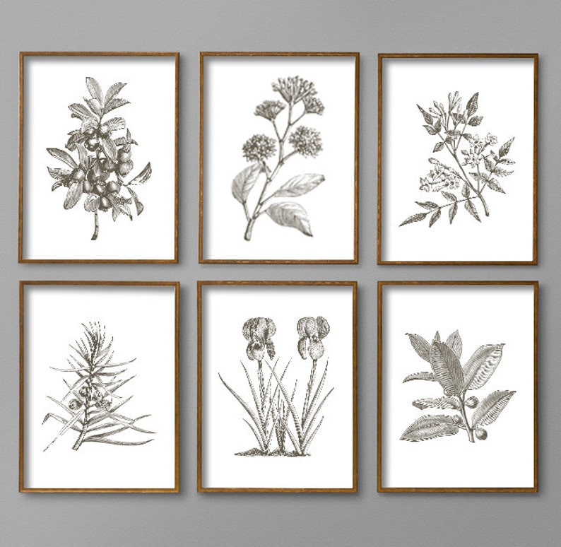 Botanical Prints Botanical Print Set Botanical Art Botanical Wall Art Botanical Art Prints Kitchen Decor Kitchen Wall Art Wall Art image 2