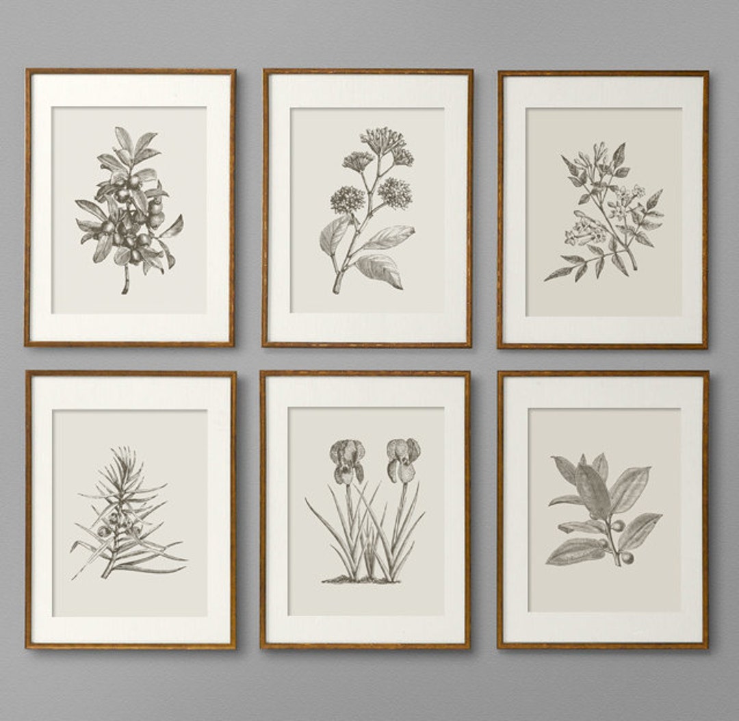 Image showcasing Botanical Prints Botanical Print Set Botanical Art Botanical Wall Art ...