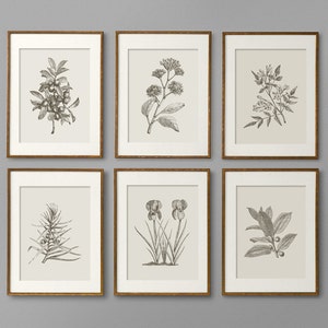 Botanischer Druck Set Botanische Kunst Botanische Wandkunst Botanische Kunst Drucke Küche Dekor Küche Wandkunst Wandkunst