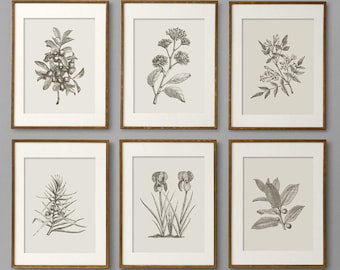 Botanical Prints Botanical Print Set Botanical Art Botanical Wall Art Botanical Art Prints Kitchen Decor Kitchen Wall Art Wall Art