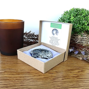 May include: A brown glass candle holder and a small cardboard box containing a fossil. The box has a green label with text and a drawing. A small green plant in a woven basket and dried flowers are in the background.