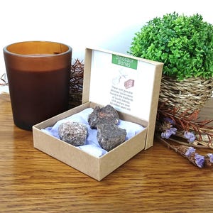 3 fossili di ossa di dinosauro 25 x 20 mm 100% originali in scatola di presentazione