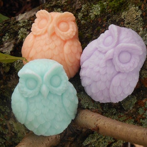 May include: Three handmade owl-shaped soaps in different colors: peach, lavender, and light blue. The soaps are sitting on a tree branch with moss.